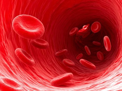 L’anemia nelle donne L’anemia nelle donne