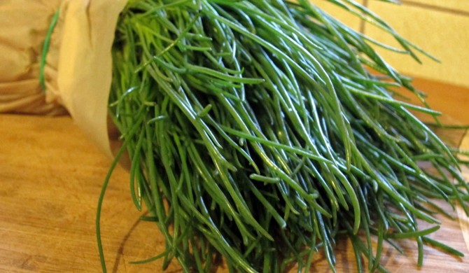 Conosciamo gli agretti